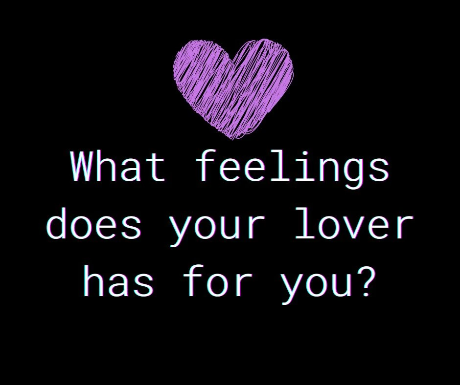 What feelings does your lover has for you tarot?